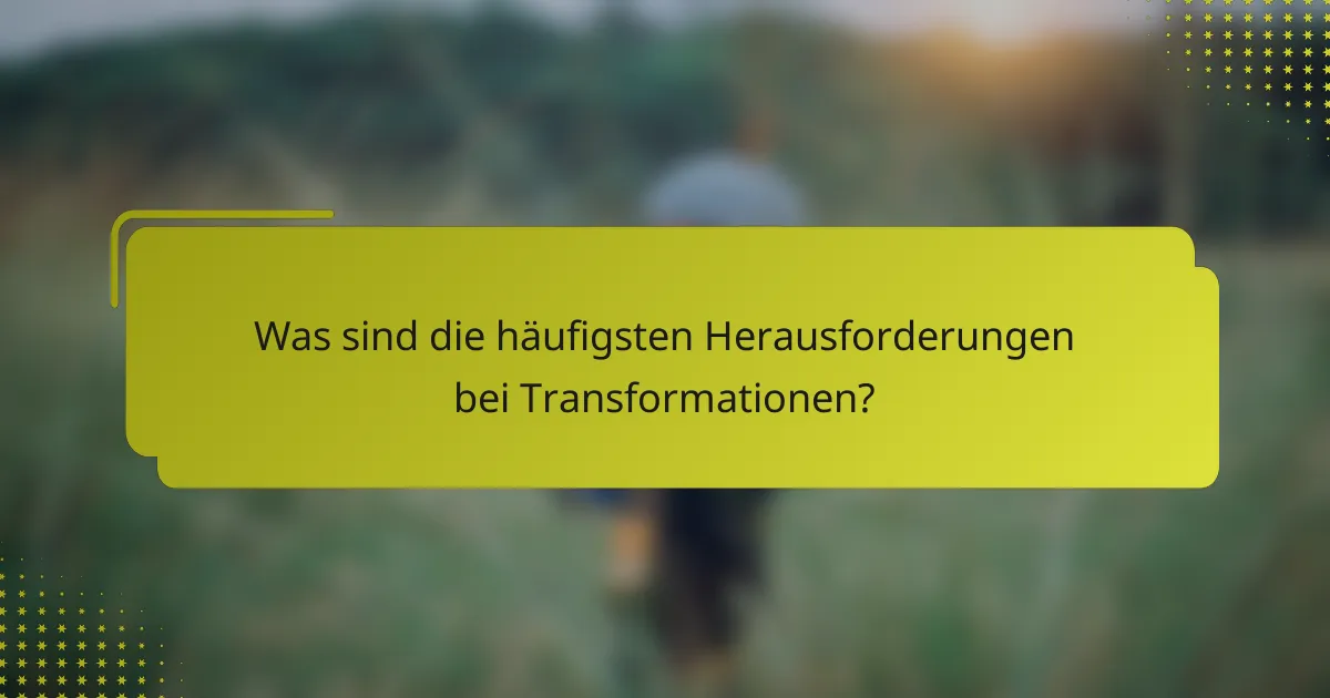 Was sind die häufigsten Herausforderungen bei Transformationen?
