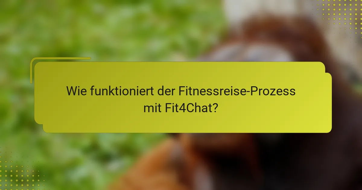 Wie funktioniert der Fitnessreise-Prozess mit Fit4Chat?